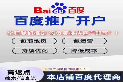 案例分析：百度推广效果优化技巧